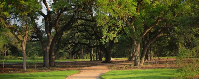 205 Belford ST, Georgetown, TX 78628