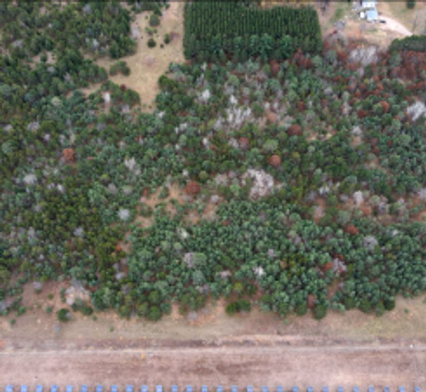 Lot 2 Kable Avenue, North Branch, MN 55056 — photo 2