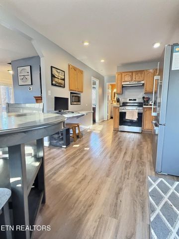 247 Lake View Lane, Andersonville, TN 37705