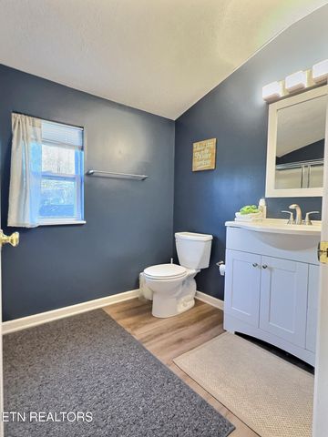 247 Lake View Lane, Andersonville, TN 37705