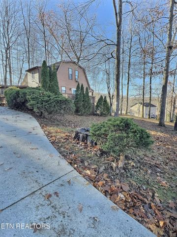 247 Lake View Lane, Andersonville, TN 37705