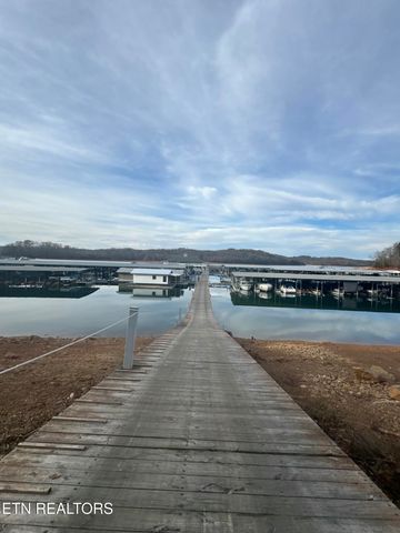 247 Lake View Lane, Andersonville, TN 37705