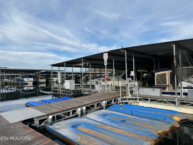 247 Lake View Lane, Andersonville, TN 37705