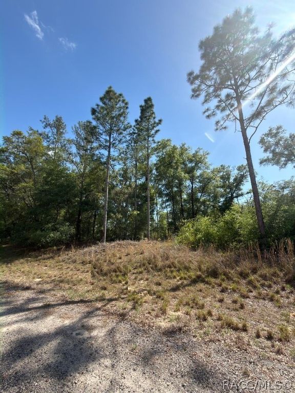 684 E Toledo Drive, Citrus Springs, FL 34434