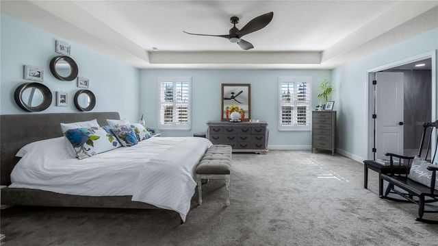 736 LAKE DOUGLAS DRIVE, Groveland, FL 34736