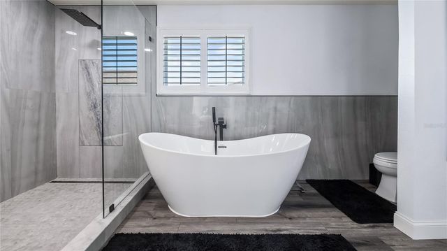 736 LAKE DOUGLAS DRIVE, Groveland, FL 34736