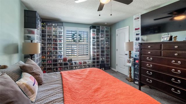 736 LAKE DOUGLAS DRIVE, Groveland, FL 34736