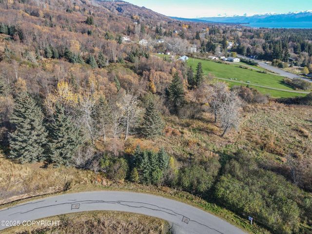 4570 Craftsman Road, Homer, AK 99603