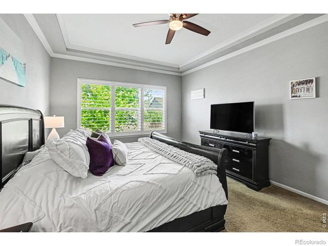 5481 Lulu City Drive, Timnath, CO 80547