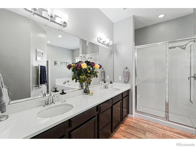 5481 Lulu City Drive, Timnath, CO 80547