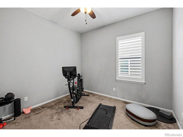 5481 Lulu City Drive, Timnath, CO 80547