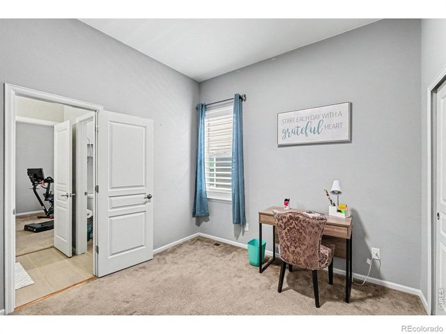 5481 Lulu City Drive, Timnath, CO 80547