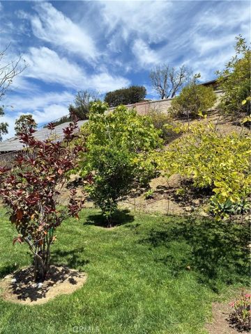 31378 Juliana Farms Road, San Juan Capistrano, CA 92675