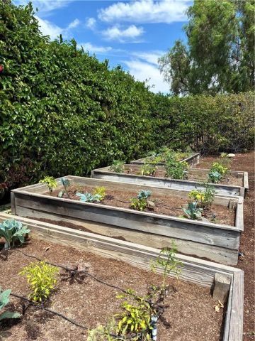 31378 Juliana Farms Road, San Juan Capistrano, CA 92675