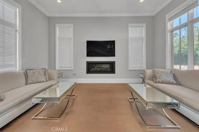 31378 Juliana Farms Road, San Juan Capistrano, CA 92675