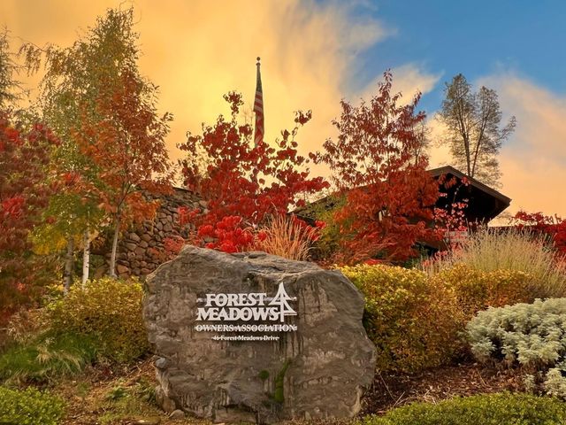 291 Fairway Village Dr, Murphys, CA 95247