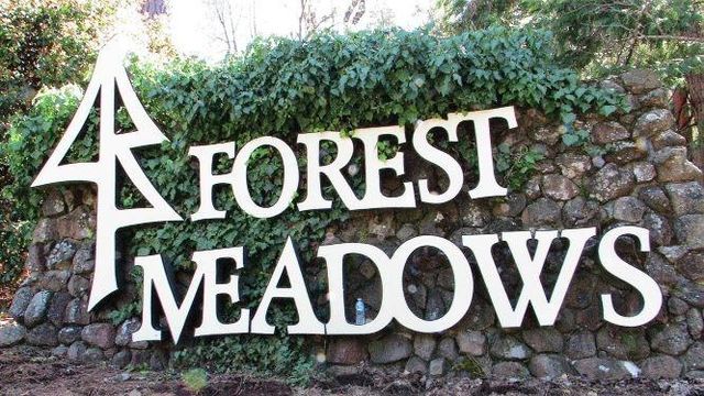 291 Fairway Village Dr, Murphys, CA 95247