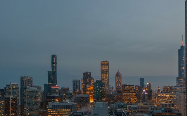 180 E Pearson Street 4207, Chicago, IL 60611