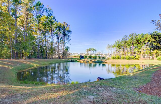 1780 Bolden Drive, Mount Pleasant, SC 29466