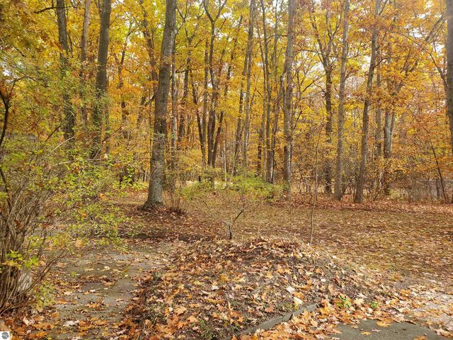 7323 Karlin Road, Interlochen, MI 49643
