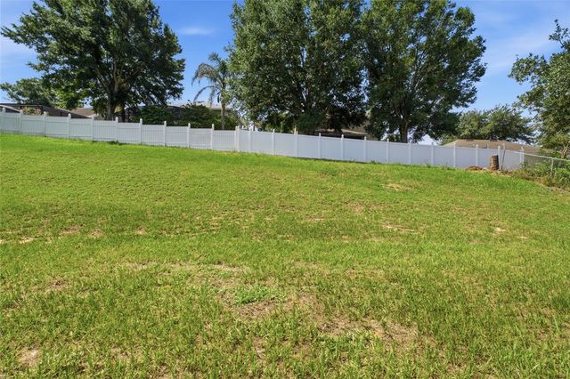 993 SCENIC VIEW CIRCLE, Minneola, FL 34715