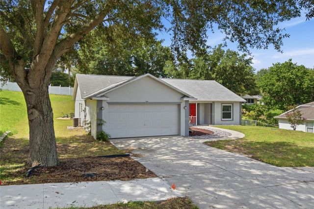 993 SCENIC VIEW CIRCLE, Minneola, FL 34715