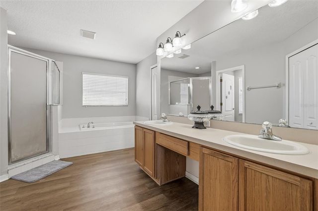 10130 COLDWATER LOOP, Land O Lakes, FL 34638