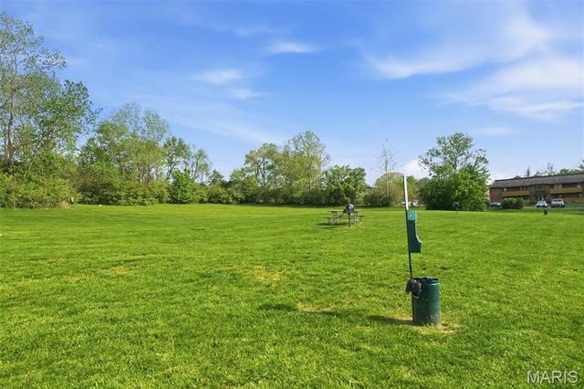 1217 Mangrove Lane 5, St Louis, MO 63125