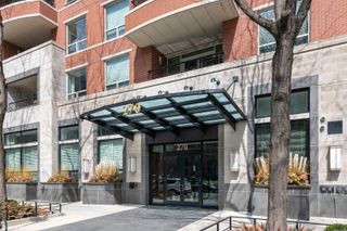 270 E Pearson Street 803, Chicago, IL 60611