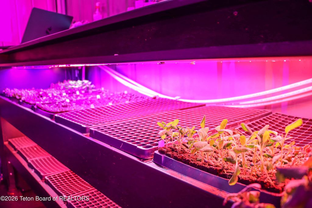 461 S PINE Street, Pinedale, WY 82941 photo 15