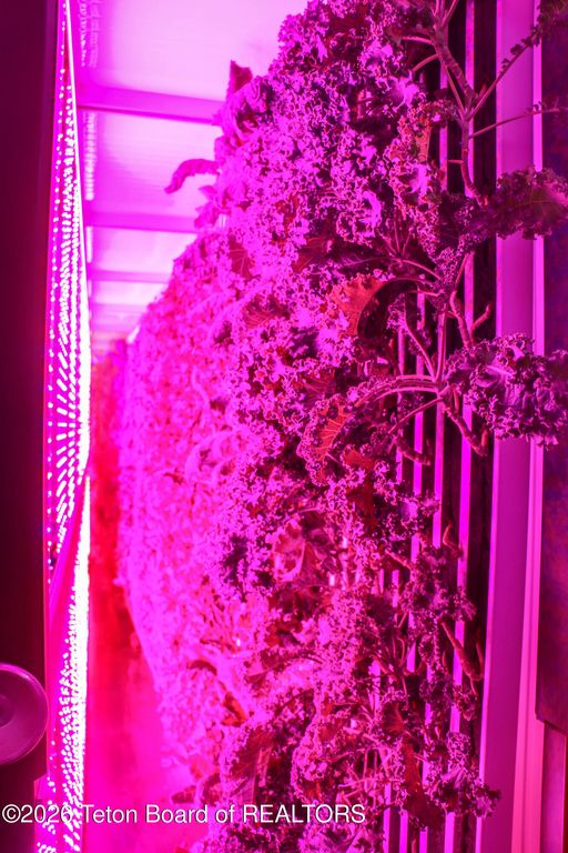 461 S PINE Street, Pinedale, WY 82941 photo 16