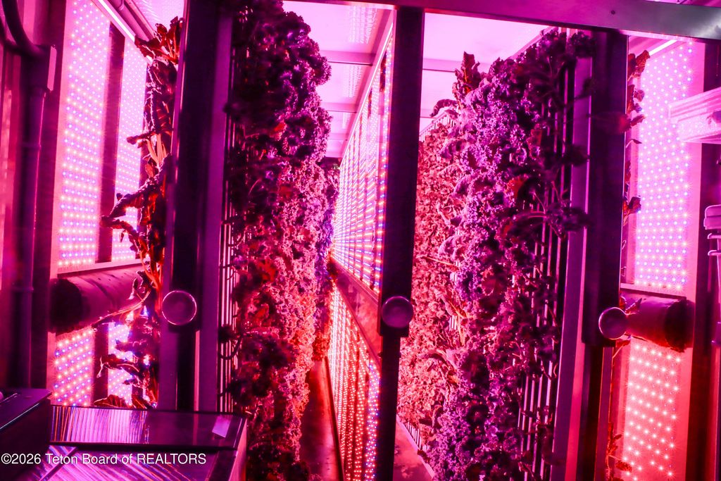 461 S PINE Street, Pinedale, WY 82941 photo 17