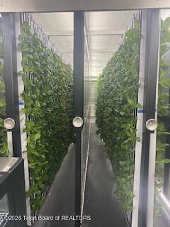 461 S PINE Street, Pinedale, WY 82941 photo 18