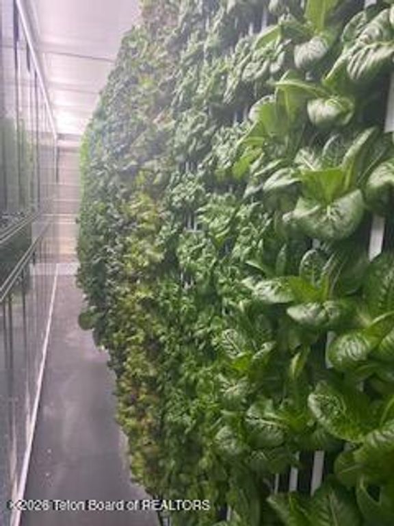 461 S PINE Street, Pinedale, WY 82941 photo 19