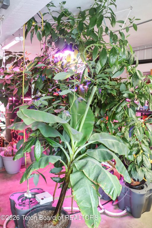 461 S PINE Street, Pinedale, WY 82941 photo 21