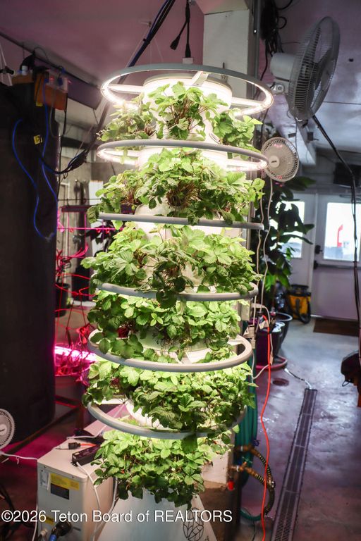 461 S PINE Street, Pinedale, WY 82941 photo 26