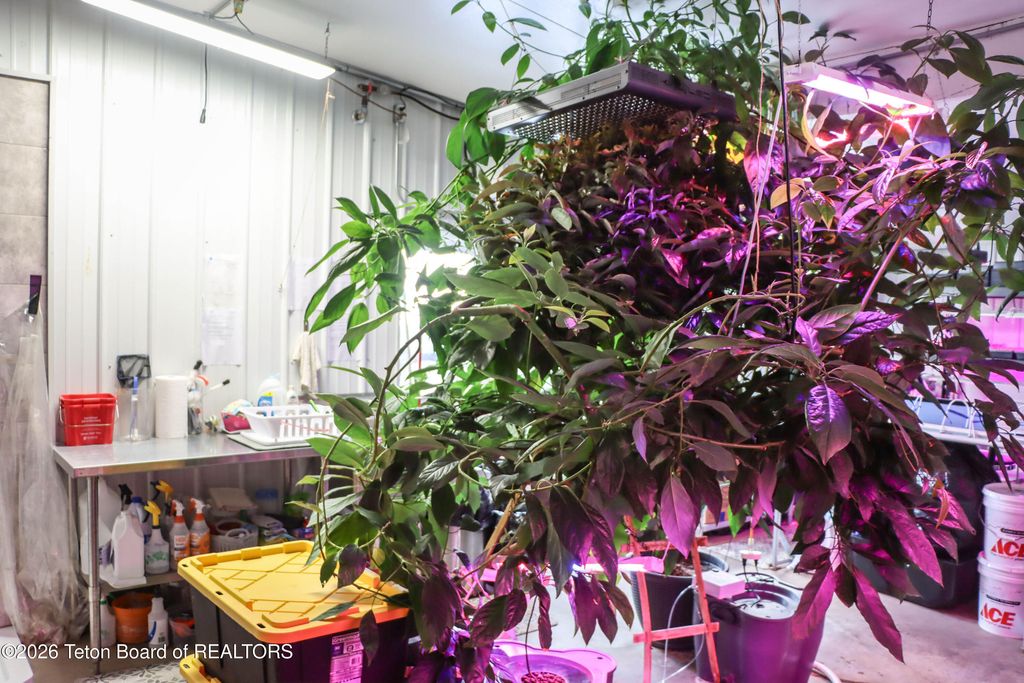 461 S PINE Street, Pinedale, WY 82941 photo 28