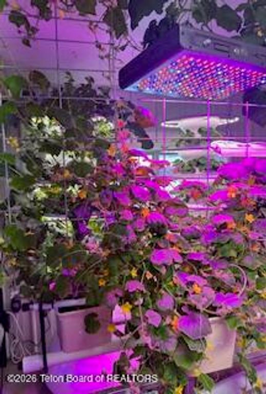 461 S PINE Street, Pinedale, WY 82941 photo 29