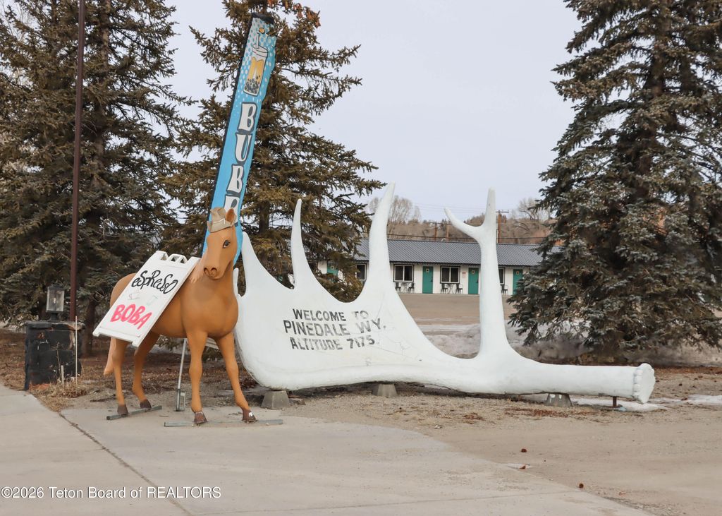 461 S PINE Street, Pinedale, WY 82941 photo 40