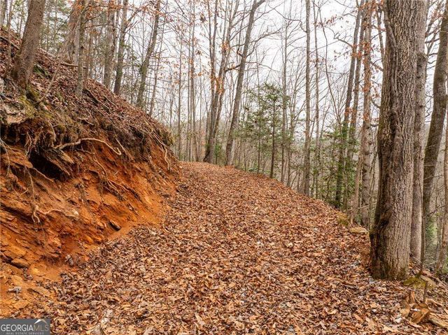 377 Soldiers Path, Dahlonega, GA 30533