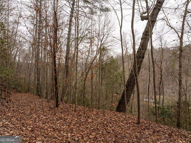 377 Soldiers Path, Dahlonega, GA 30533