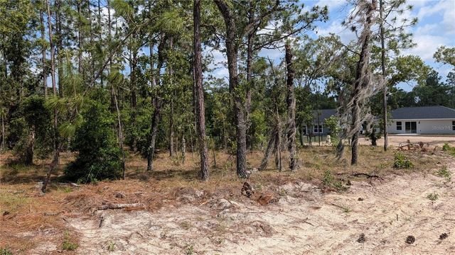 lot 32 NW HEMLOCK AVENUE, Dunnellon, FL 34431