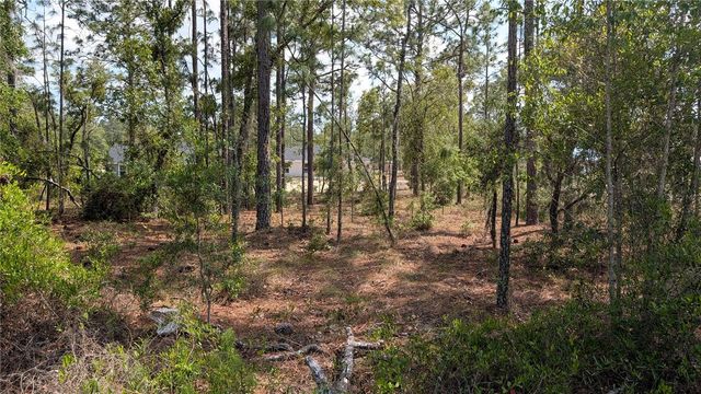 lot 32 NW HEMLOCK AVENUE, Dunnellon, FL 34431