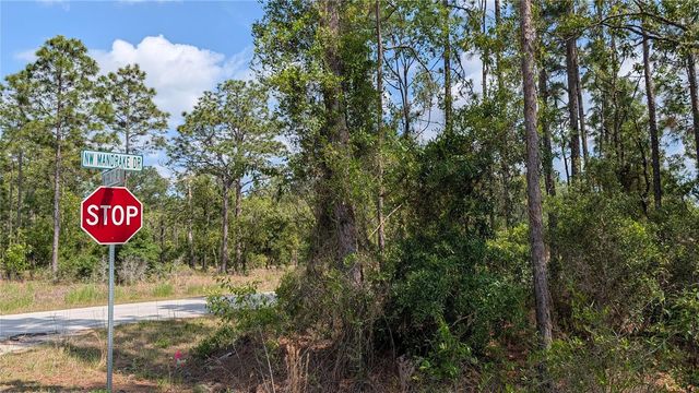 lot 32 NW HEMLOCK AVENUE, Dunnellon, FL 34431