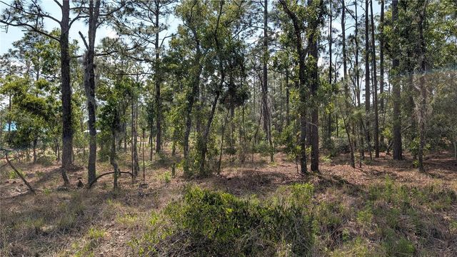 lot 32 NW HEMLOCK AVENUE, Dunnellon, FL 34431