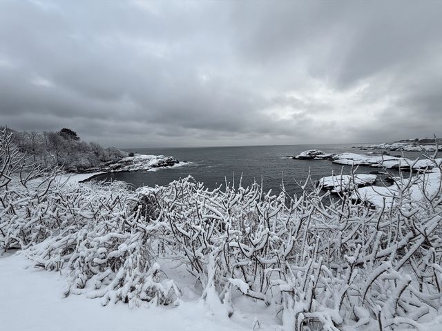 162 Willow Rd 11, Nahant, MA 01908