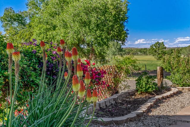 20658 Highway 84, Medanales, NM 87548