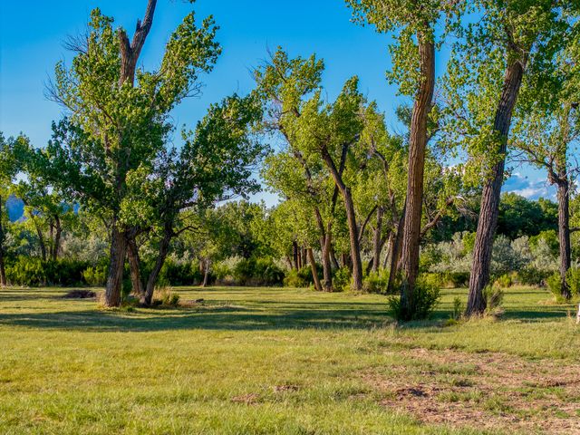 20658 Highway 84, Medanales, NM 87548