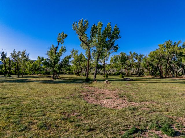 20658 Highway 84, Medanales, NM 87548