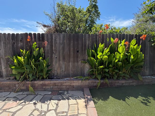 6765 Judistine Dr, Fair Oaks, CA 95628